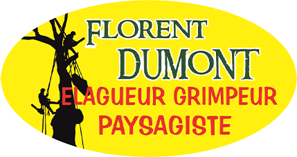 Logo FLORENT DUMONT